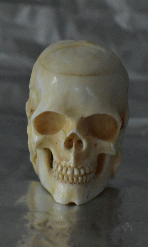 Skull Carving Model 9N